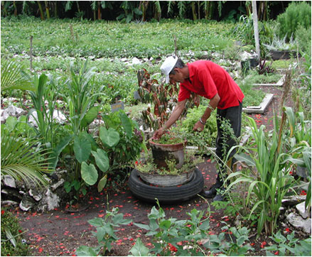 agroecología