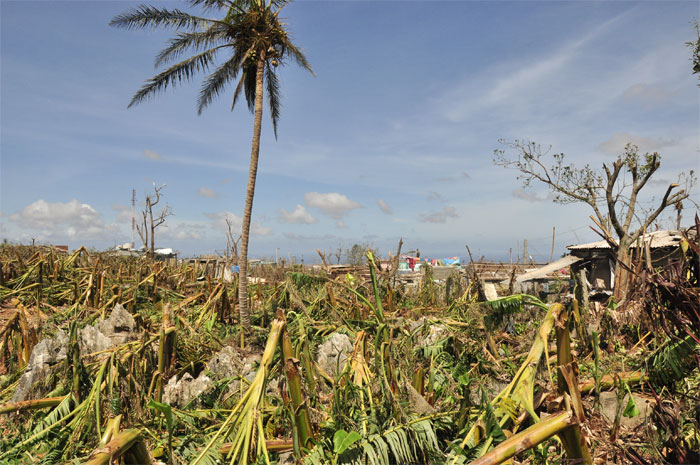 perdida-total-en-maisi