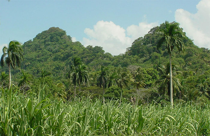 baracoa naturaleza10