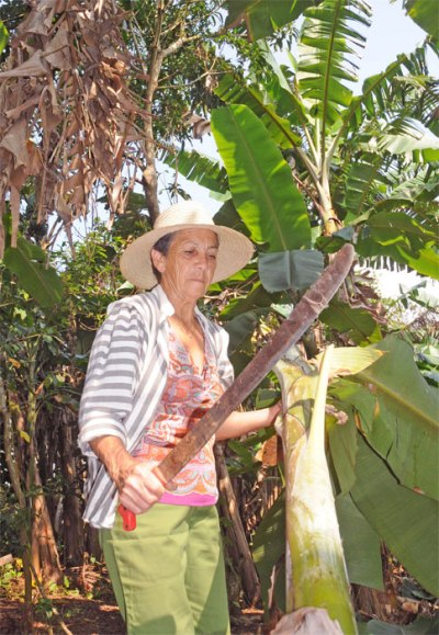 mujeres trabajadoras campo7