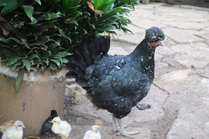 mujeres trabajadoras campo9