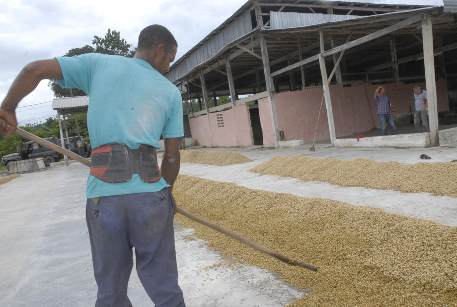 yateras recogida cafe8