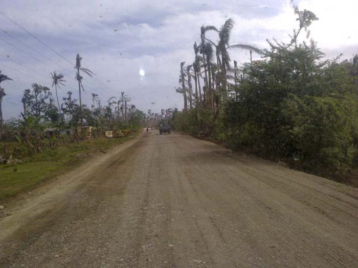 carretera toa neblina