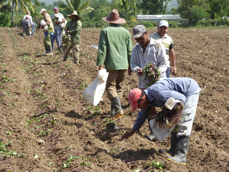 agricultura afectaciones bloqueo