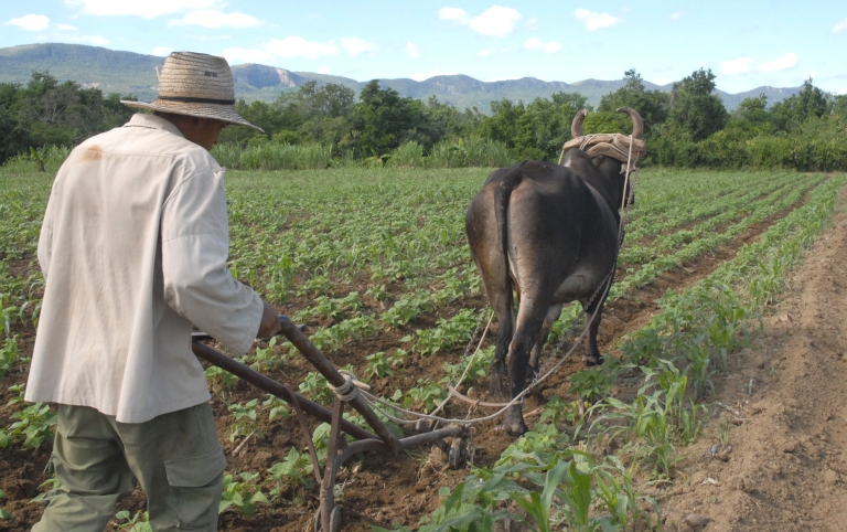 agricultura recuperacion