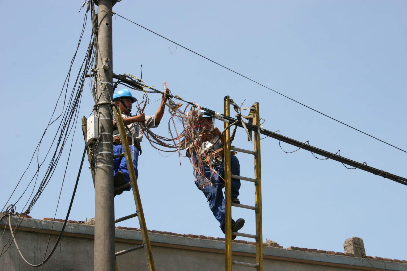 cables telefonicos