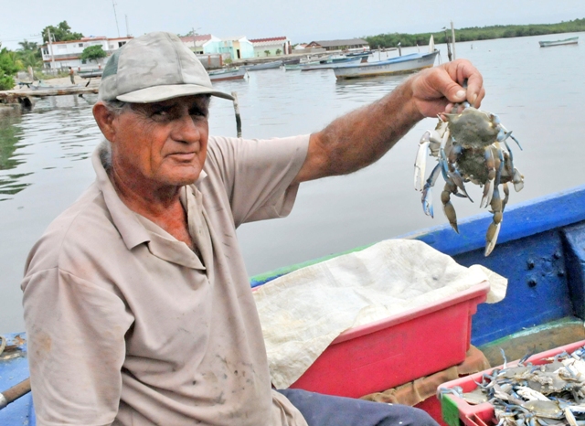 cooperativa caimanera4