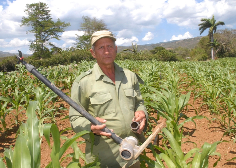 delvis urgelles campesino