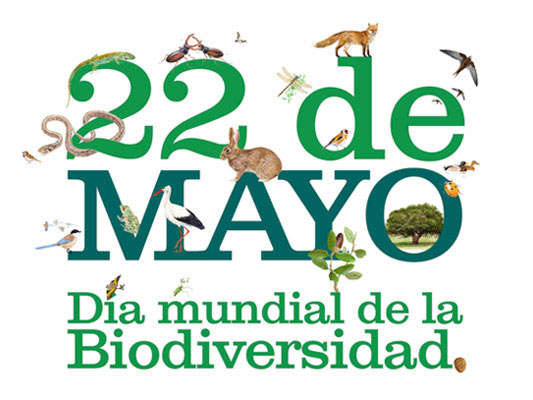 dia.biodiversidad