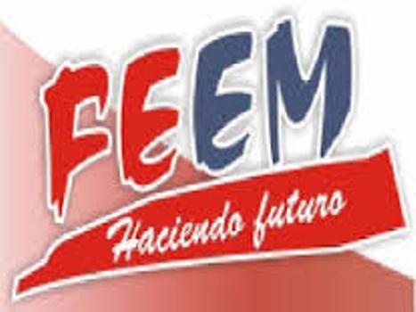 feem logo