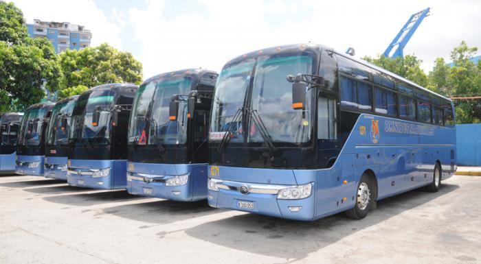 1omnibus