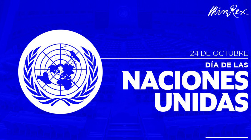0 24 onu