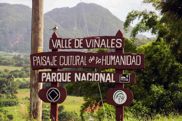 0802 vinales2