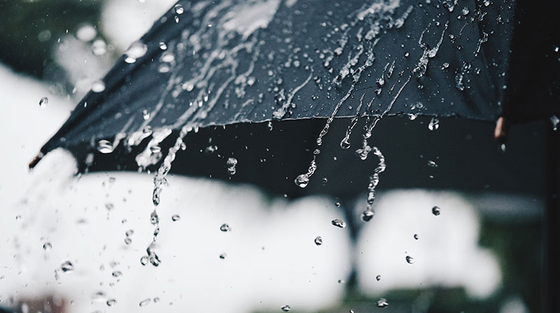0807 Lluvia