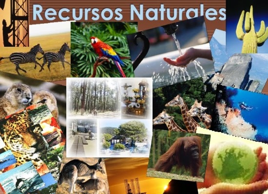 cuales son los recursos naturales