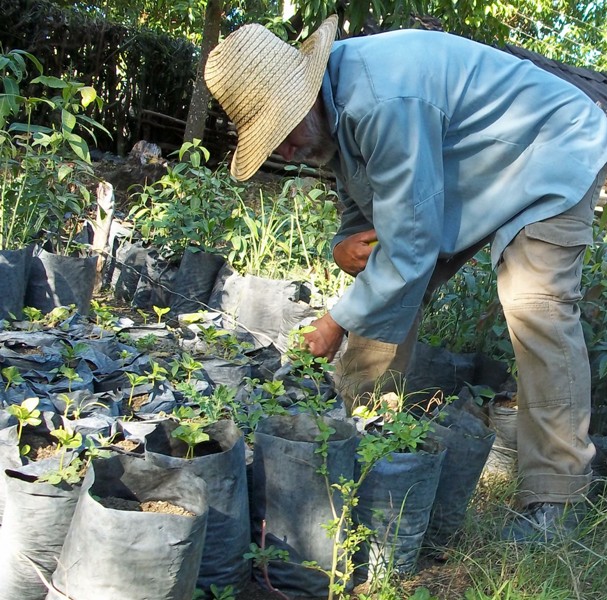campesino Valle de Caujerí 4