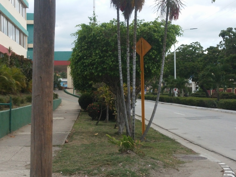 jardinería Guantánamo 1