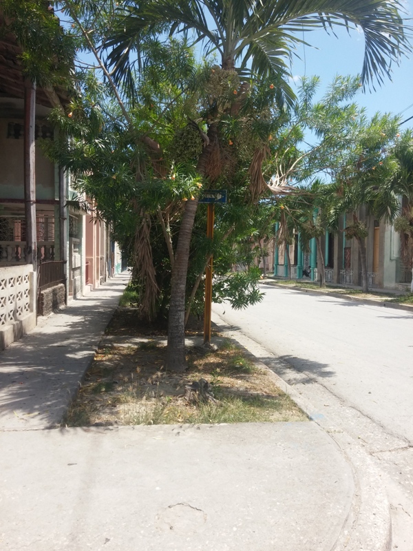 jardinería Guantánamo 3