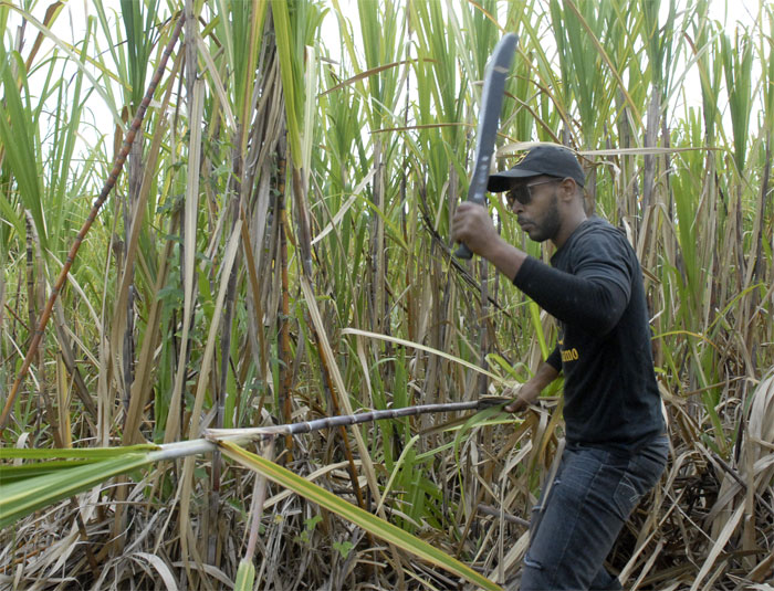 jóvenes Guantánamo 2019 3