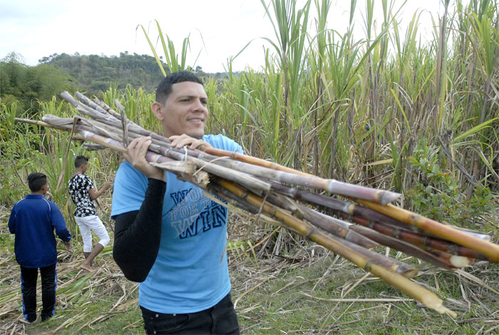 jóvenes Guantánamo 2019 4