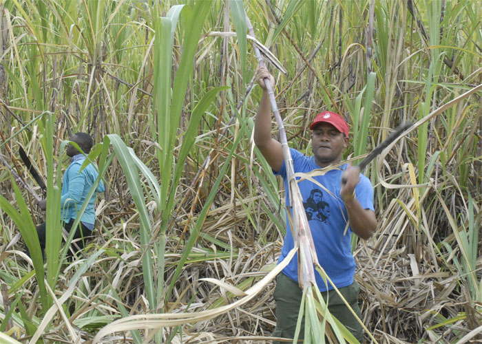 jóvenes Guantánamo 2019 5