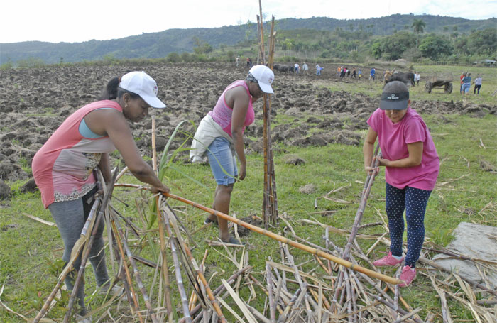 jóvenes Guantánamo 2019 7