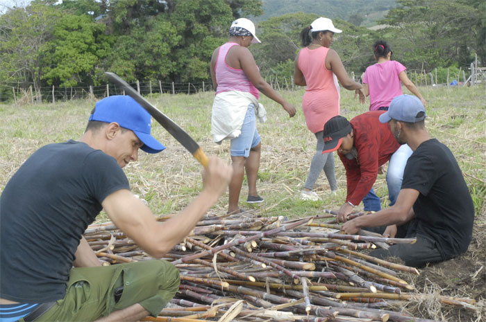 jóvenes Guantánamo 2019 8