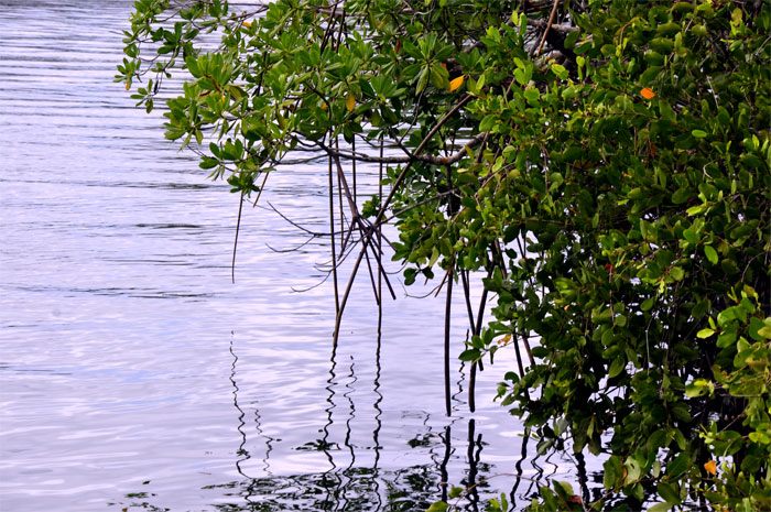 río Duaba Baracoa Guantánamo 4