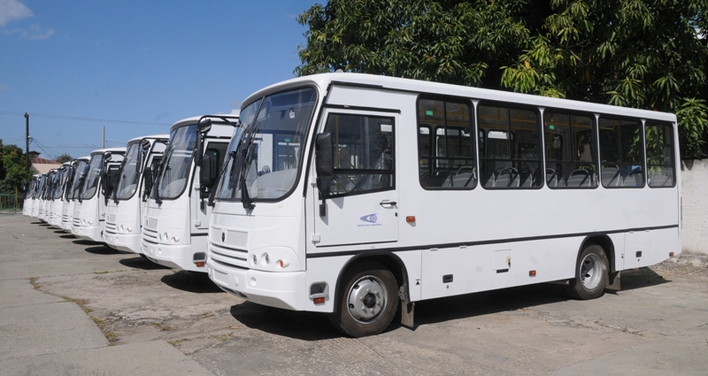 Omnibus Paz