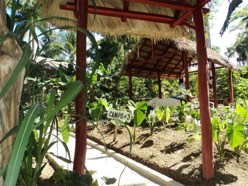 finca La Juanica 2