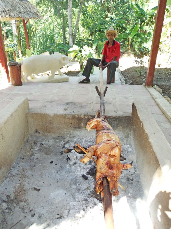 finca La Juanica 3