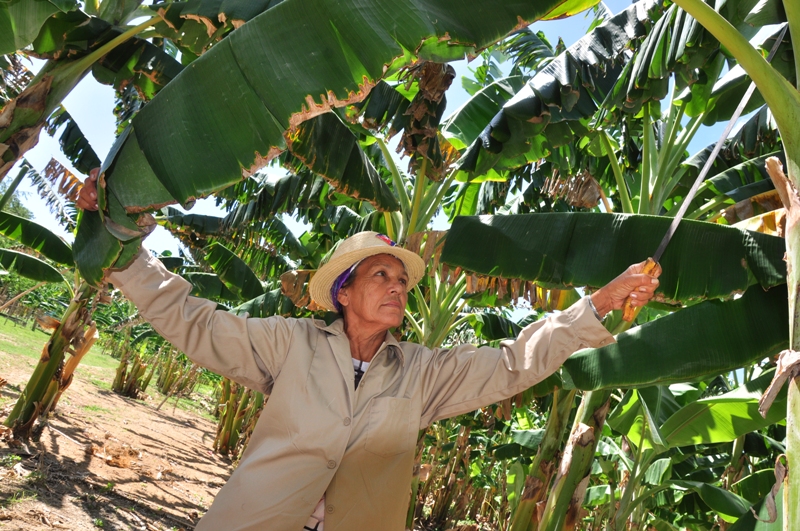 campesina de La Jabilla