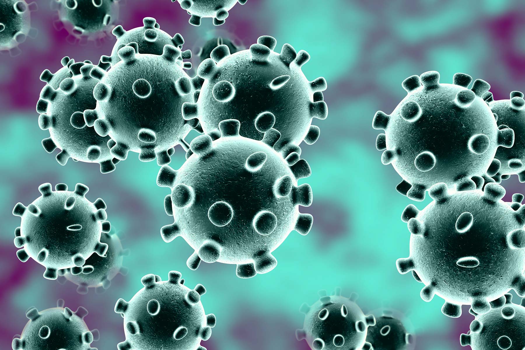 coronavirus 0