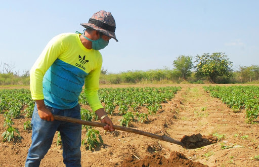 agricultura Guantánamo