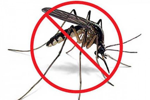no al mosquito