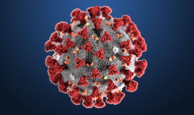 coronavirus sintomas comunes con la gripe y otros que no lo son 5894