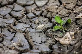 sequía