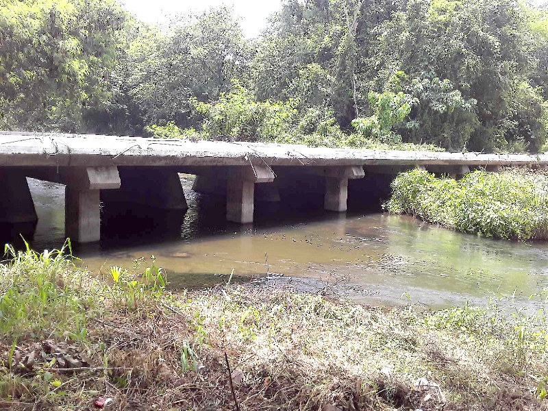 Desenfoque foto 3