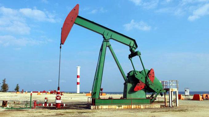 1215 petróleo