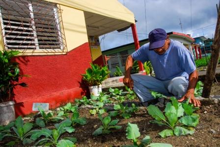 1 Hilder Méndez Rodríguez Jardinero que contrubuye a la producción de alimentos sembrando en su patio