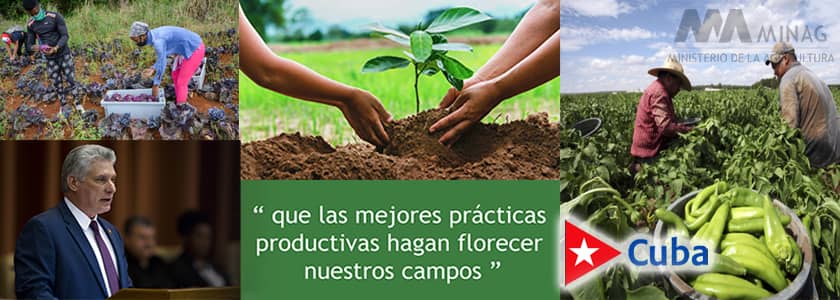 2812 economia cubana