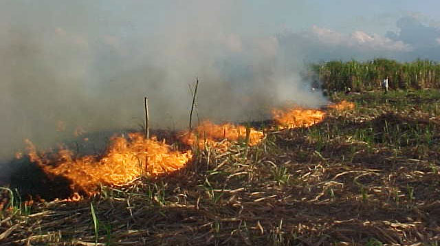 2907 INCENDIOS