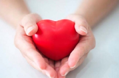 70088febd008274563d21fb8e0d9cb9c L