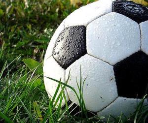 PELOTA-FUTBOL