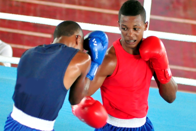 academia boxeo