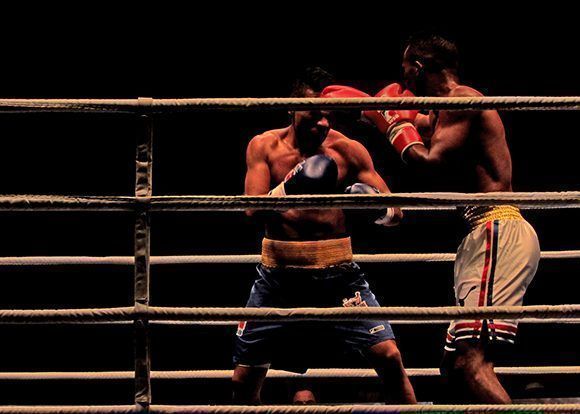 boxeo domadores