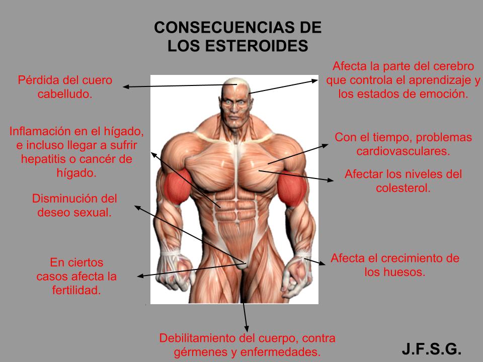 fisiculturismo