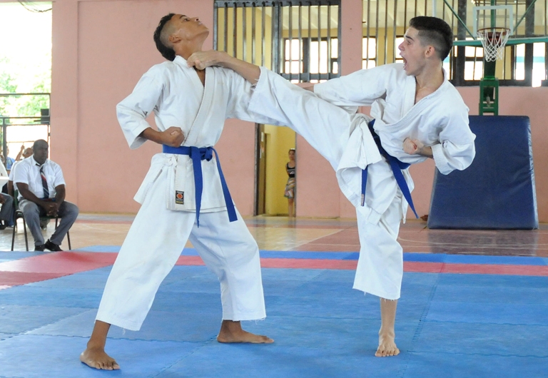 karate