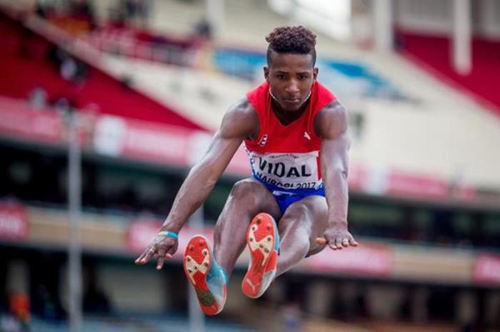 maikel vidal plata