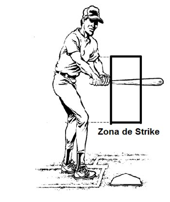 zona stripe